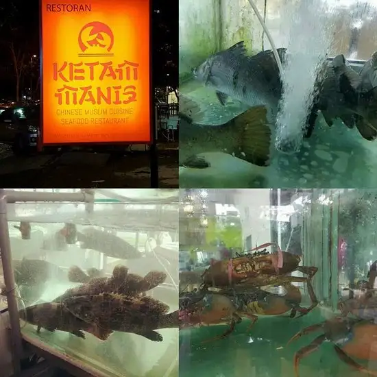 Ketam Manis Seafood Restaurant