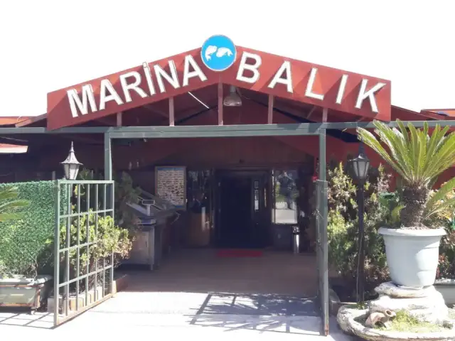 Marina Balık'nin yemek ve ambiyans fotoğrafları 6