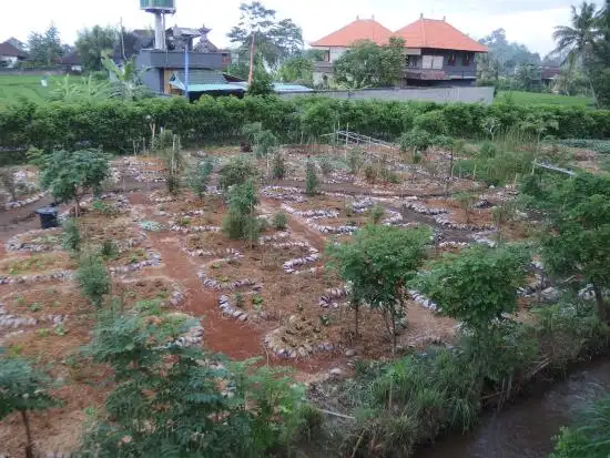 Gambar Makanan Moksa Ubud Plant-based Cuisine & Permaculture Garden 12