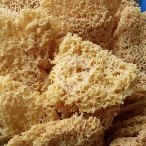 Gambar Makanan Ayam Goreng Kremes Mahkota 4