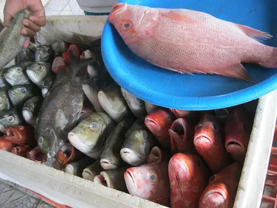 Gambar Makanan RM Kampoeng Empang 20