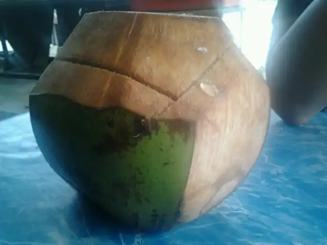Sulaman Coconut Puding & Lokan Panggang Food Photo 15