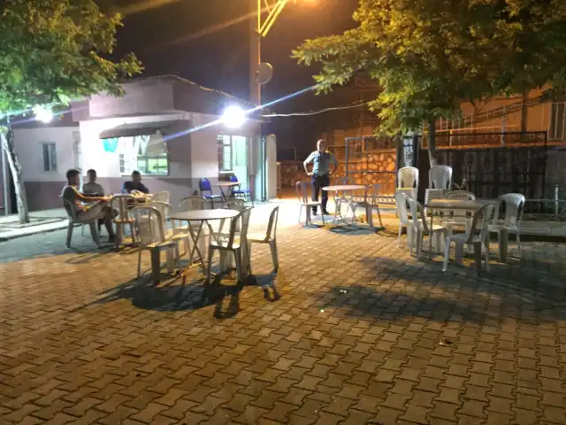 School Cafe & Bistro'nin yemek ve ambiyans fotoğrafları 2