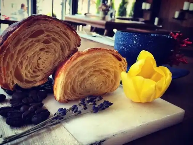 Ekşi Maya - Divan Ankara'nin yemek ve ambiyans fotoğrafları 5