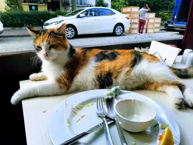 Cafe Mantım'nin yemek ve ambiyans fotoğrafları 2