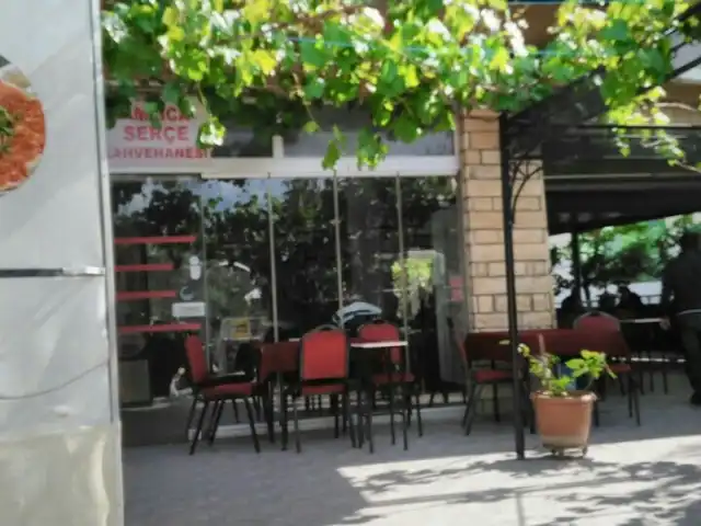 Serçe Cafe'nin yemek ve ambiyans fotoğrafları 18