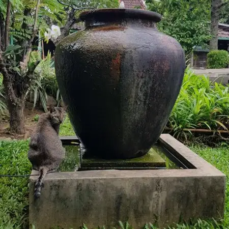 Gambar Makanan Waroeng Solo 6