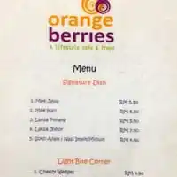 Orange Berries Food Photo 1