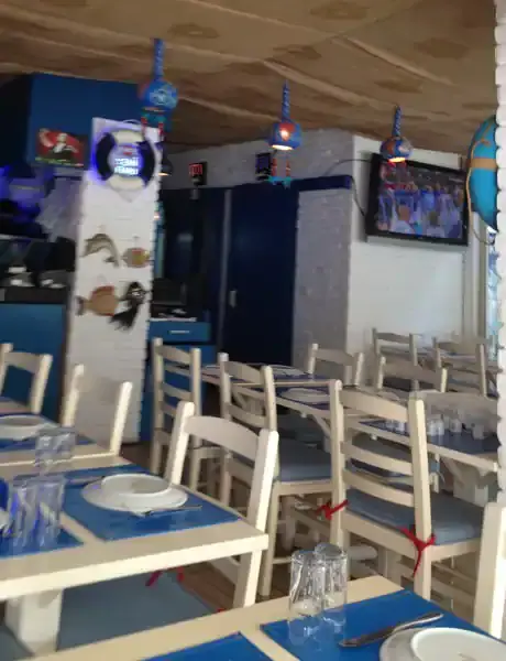 Egeo Balık Restaurant'nin yemek ve ambiyans fotoğrafları 8