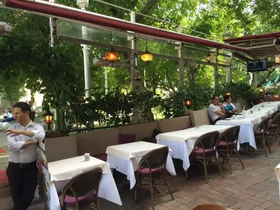 Omar Restaurant'nin yemek ve ambiyans fotoğrafları 59