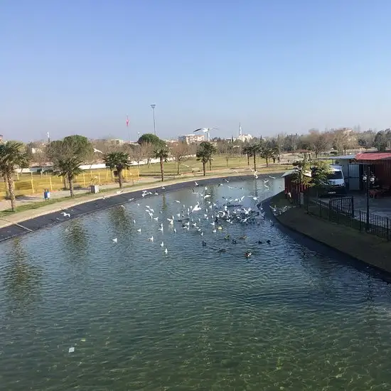 Coşkun Izgara Parkada'nin yemek ve ambiyans fotoğrafları 1