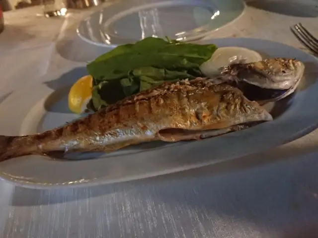 Olta Balık Silivri'nin yemek ve ambiyans fotoğrafları 17