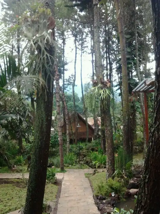 Gambar Makanan Seruling Bambu Restaurant (Kampung Sampireun Resort & Spa) 9