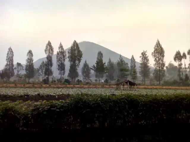 Gambar Makanan Dieng Kledung Pass Restaurant 2