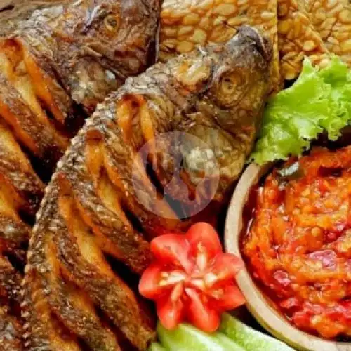 Gambar Makanan IKAN BAKAR/GORENG SURABAYA 10