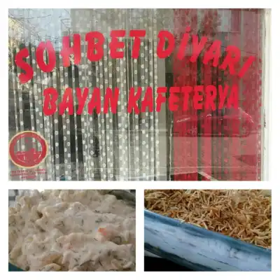 Sohbet Diyari