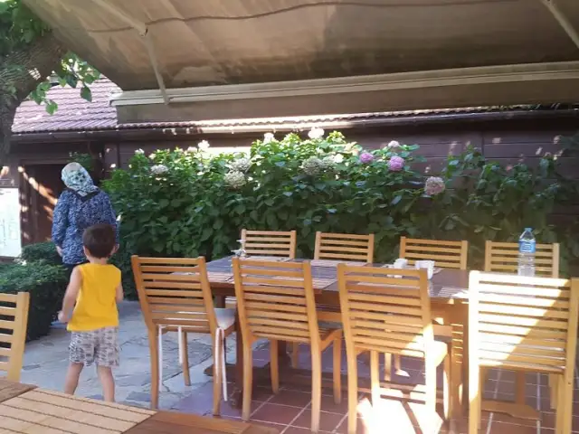 Karcma Kriha Restaurant'nin yemek ve ambiyans fotoğrafları 6