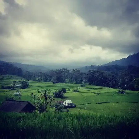 Gambar Makanan Warung Wayan Tabola 18