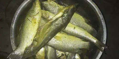 Ikan Bakar Mang Ujang, Anggajaya