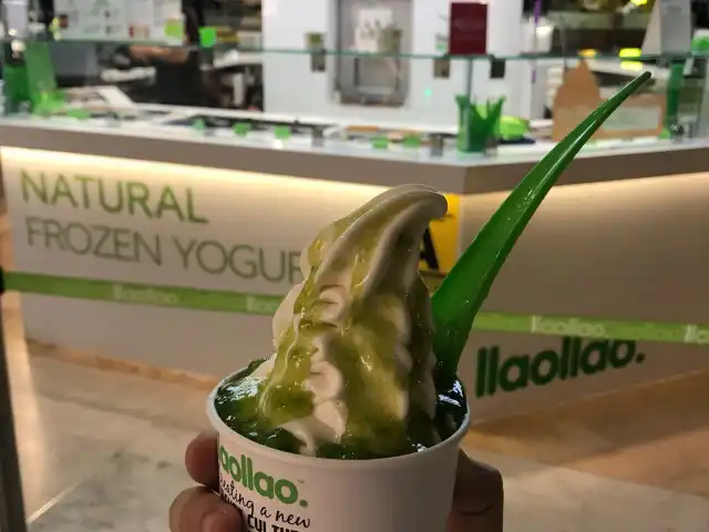 llaollao Food Photo 12