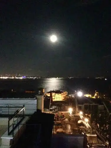 Terrace Restaurant'nin yemek ve ambiyans fotoğrafları 24