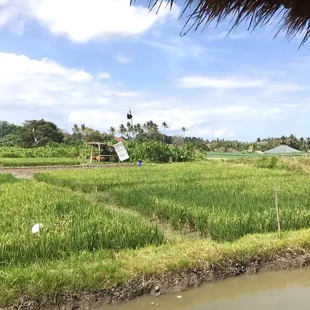 Gambar Makanan Gaharu Garden Restaurant 13