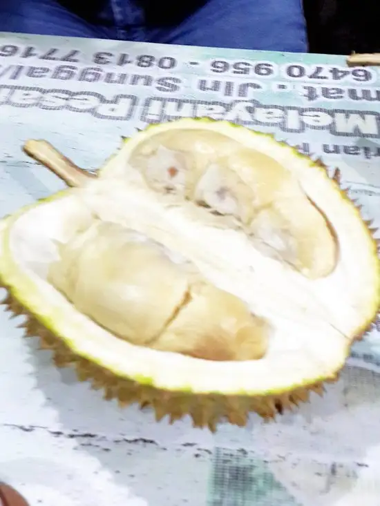 Durian Pelawi