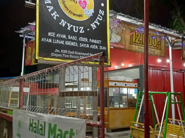 Gambar Makanan Ayam kremes mas agung 9