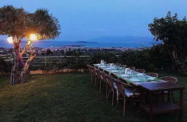 Panorama Garden'nin yemek ve ambiyans fotoğrafları 6