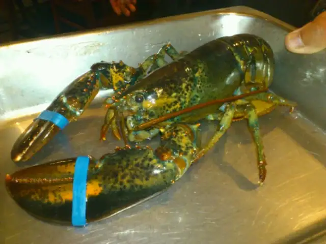 The Lobsterman Food Photo 8