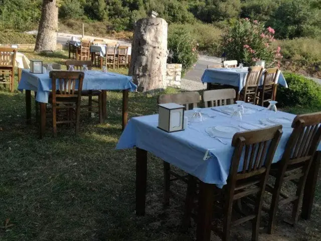 Manastir Cafe Restaurant'nin yemek ve ambiyans fotoğrafları 4