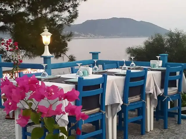 Sardelaki Greek Tavern'nin yemek ve ambiyans fotoğrafları 5