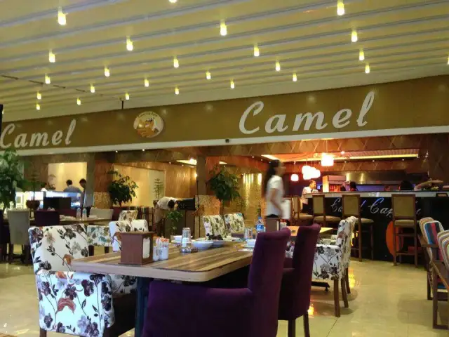 Camel Cafe Bistro'nin yemek ve ambiyans fotoğrafları 3