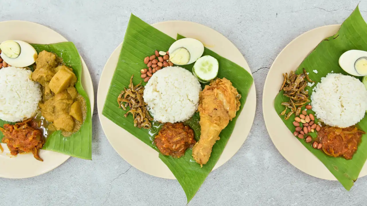 Nyonya Tradisi Nasi Lemak (48 Ho Chiak)