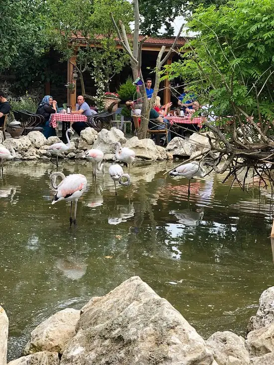 FlamingoKöy Kahvaltı Barbekü'nin yemek ve ambiyans fotoğrafları 5