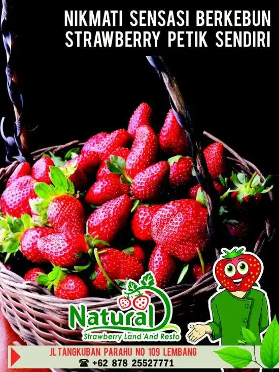 Gambar Makanan Natural Resto and Strawberry Land 18