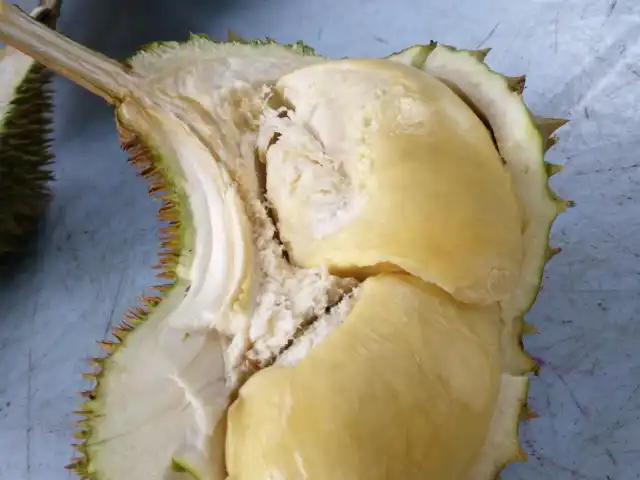 Durian Gemuk Mantin Food Photo 11