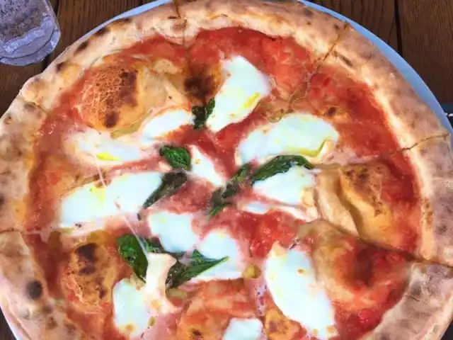 Pizzeria Il Pellicano'nin yemek ve ambiyans fotoğrafları 63