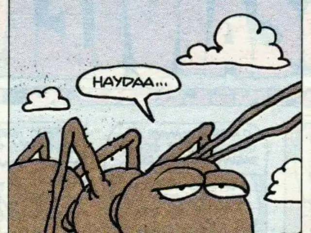 Can Ciğer Dürüm