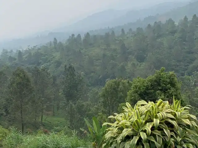 Warung Riung Gunung Puncak