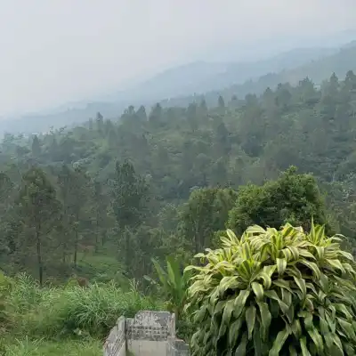 Warung Riung Gunung Puncak