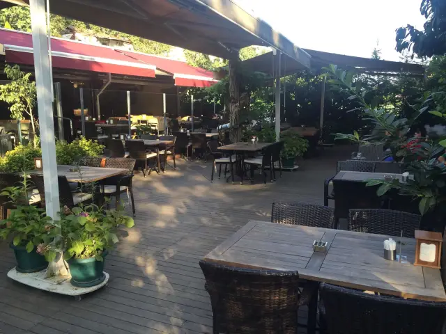 Perry Cafe Restaurant'nin yemek ve ambiyans fotoğrafları 2