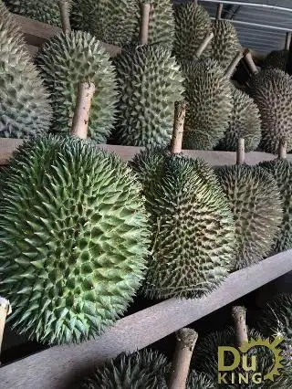 DuKing Durian Food Photo 2