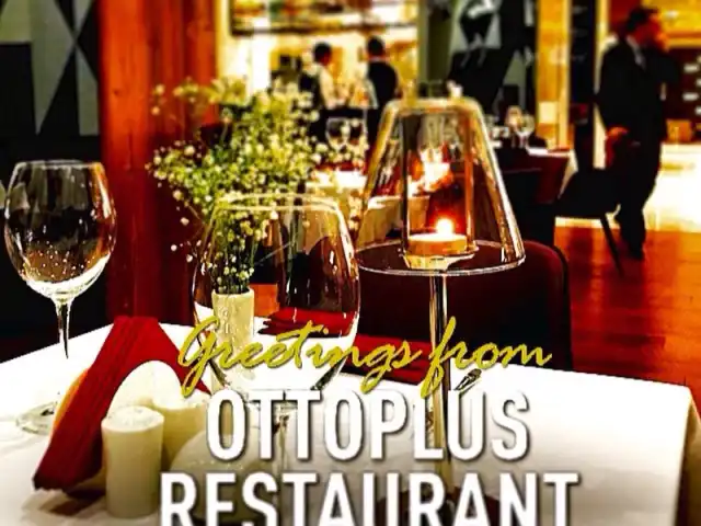 Ottoplus Cafe and Restaurant'nin yemek ve ambiyans fotoğrafları 4