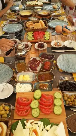 Altın kasık