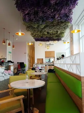 Viola Flower Cafe
