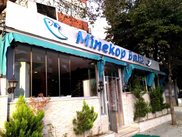 Minekop Restaurant'nin yemek ve ambiyans fotoğrafları 6