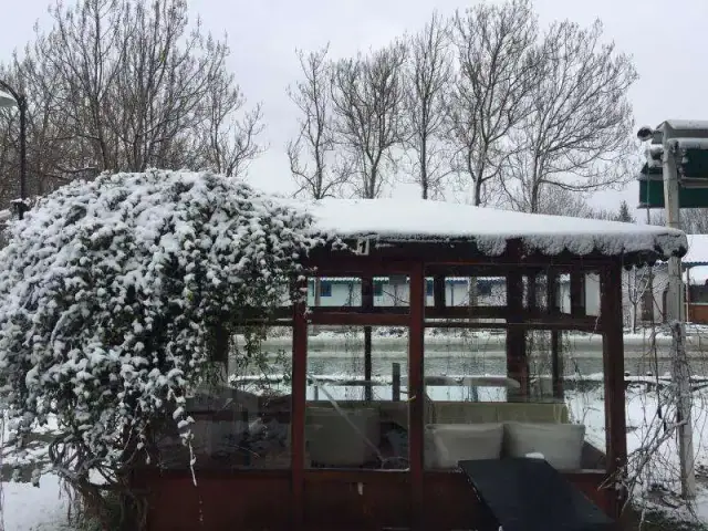 Eskisehir Sögütönü Alabalik Tesisleri'nin yemek ve ambiyans fotoğrafları 5