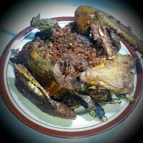 Gambar Makanan Nasi Bebek Mama Badriah,jl Raya Kalimalang,duren Sawit,pondok Kelapa 12
