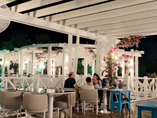 Mermaid Restaurant'nin yemek ve ambiyans fotoğrafları 2